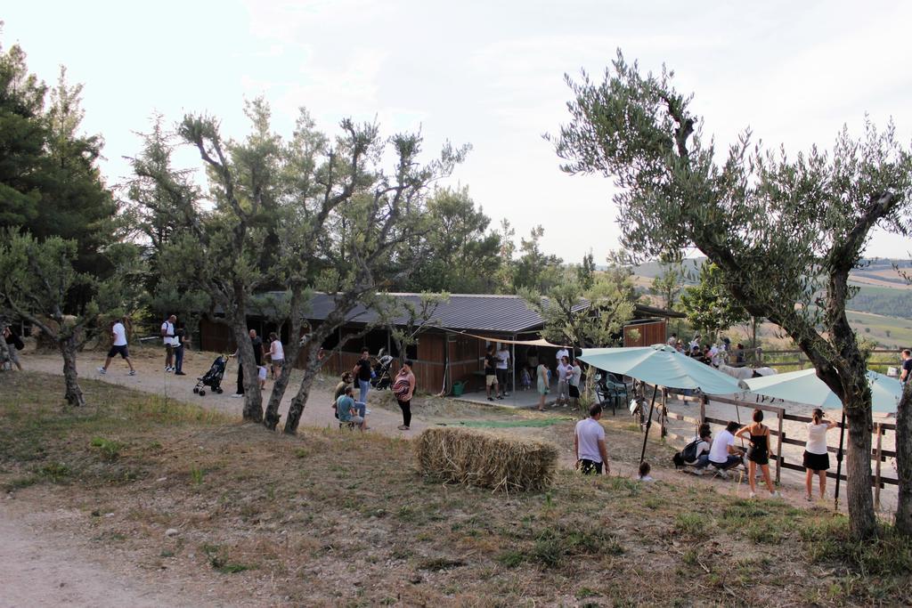 Tenuta Gran Bosco Loro Piceno Exteriör bild