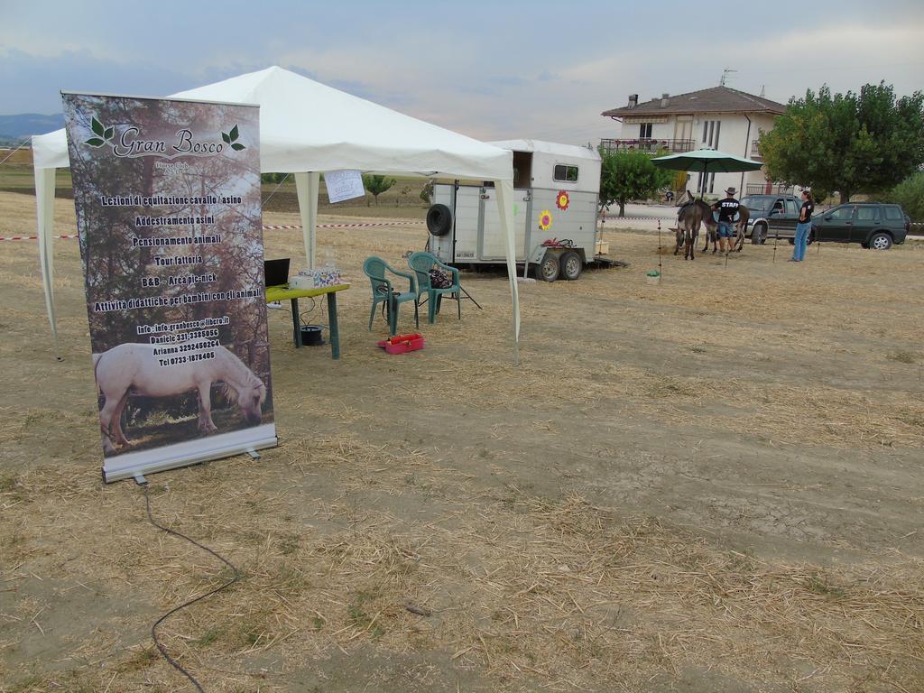 Tenuta Gran Bosco Loro Piceno Exteriör bild