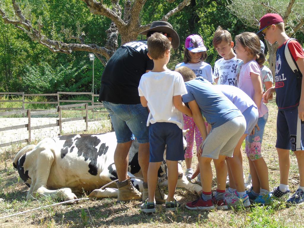 Tenuta Gran Bosco Loro Piceno Exteriör bild