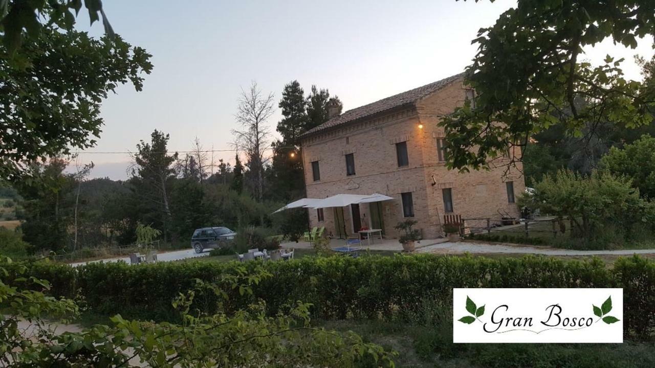 Tenuta Gran Bosco Loro Piceno Exteriör bild