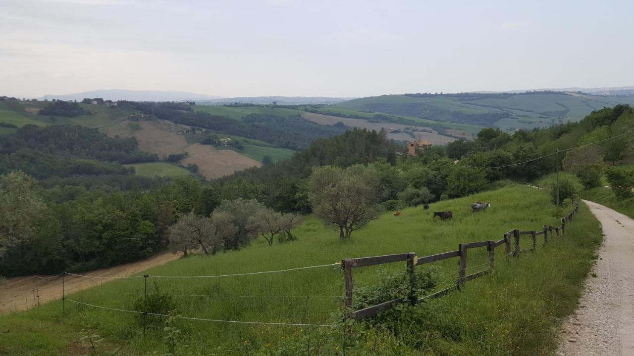 Tenuta Gran Bosco Loro Piceno Exteriör bild